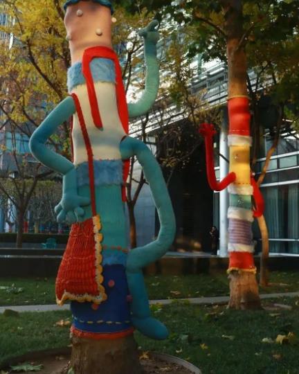 北京海淀150株梧桐树裹上限定款“毛衣”，气温回升就“脱装”