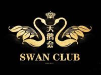 天鹅会养生的图片